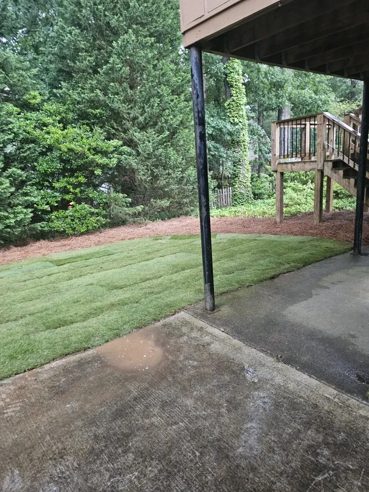 Professional yard cleanup service in lilburn, GA by Jose Aguilar Lawn Service