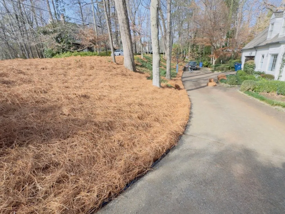 Professional yard maintenance near you across lilburn, GA - Jose Aguilar Lawn Service