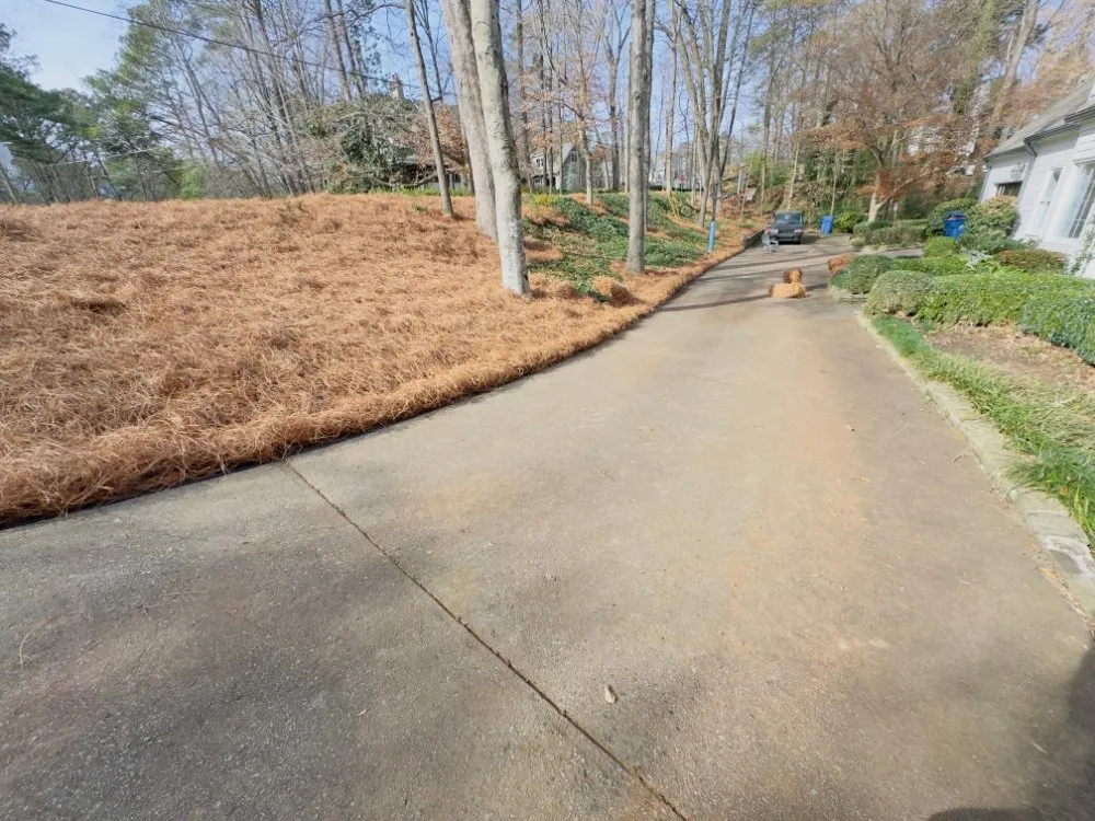 Trusted outdoor landscaping in lilburn, GA - Jose Aguilar Lawn Service