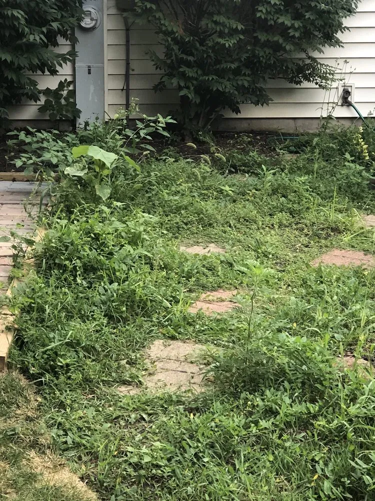 Expert garden landscaping in Waukegan, IL by Jose Alfaro Landscaping