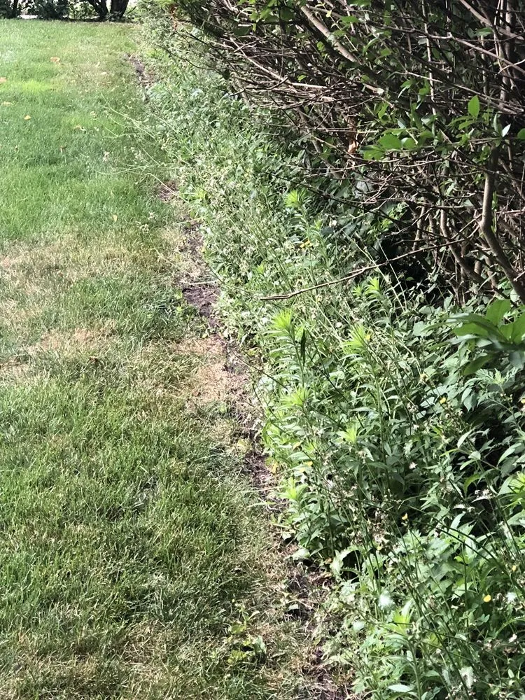 Expert lawn care service for residential properties across Waukegan, IL - Jose Alfaro Landscaping