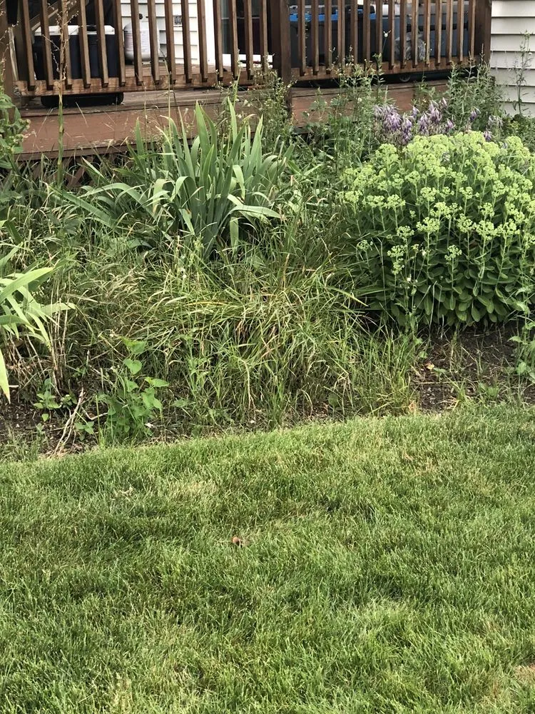 Affordable landscape design with custom design in Waukegan, IL by Jose Alfaro Landscaping