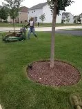 Local lawn care service for beautiful yards in Waukegan, IL by Jose Alfaro Landscaping