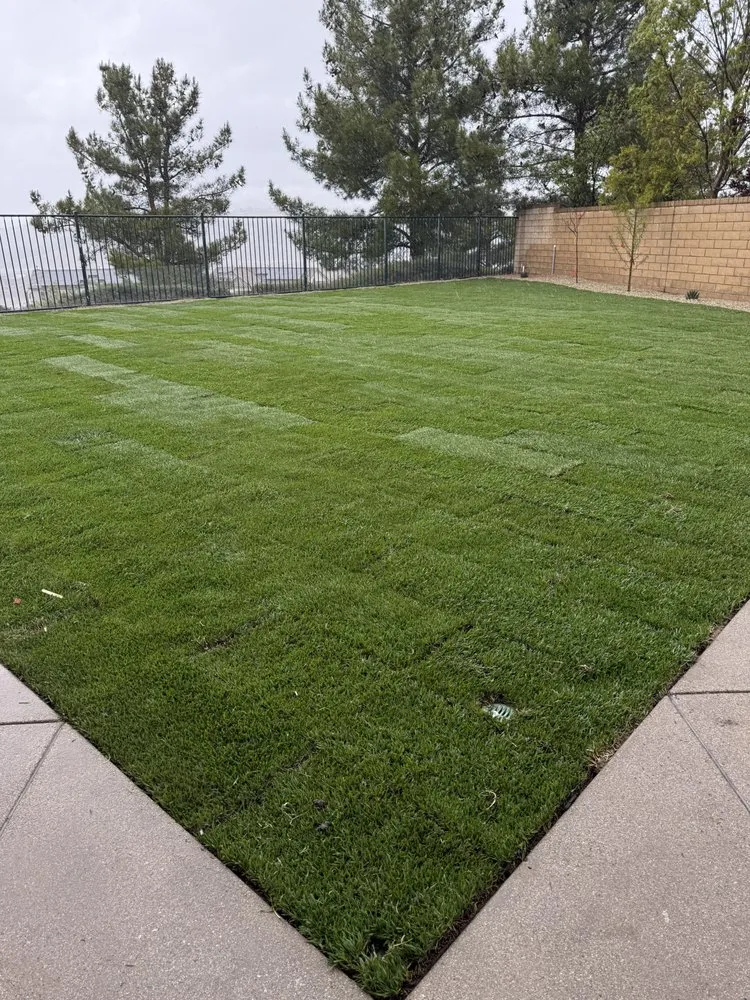 Professional landscaping services in Santa Clarita, CA by Jose And Ozzy Landscaping
