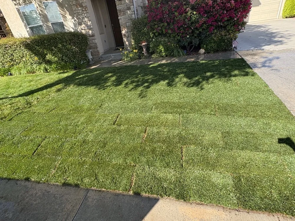 Top-rated yard cleanup service in Santa Clarita, CA by Jose And Ozzy Landscaping