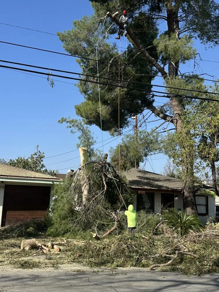 Affordable landscaping services experts serving Santa Clarita, CA - Jose And Ozzy Landscaping