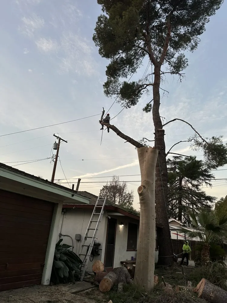 Reliable outdoor landscaping near you in Santa Clarita, CA by Jose And Ozzy Landscaping