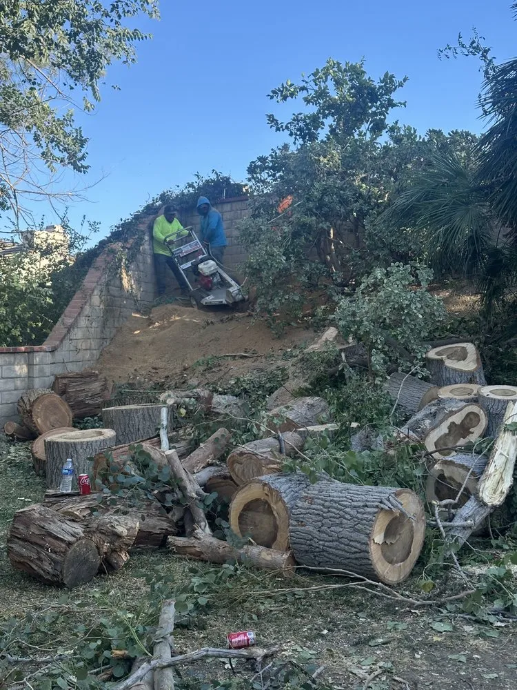 Affordable landscape installation experts serving Santa Clarita, CA - Jose And Ozzy Landscaping