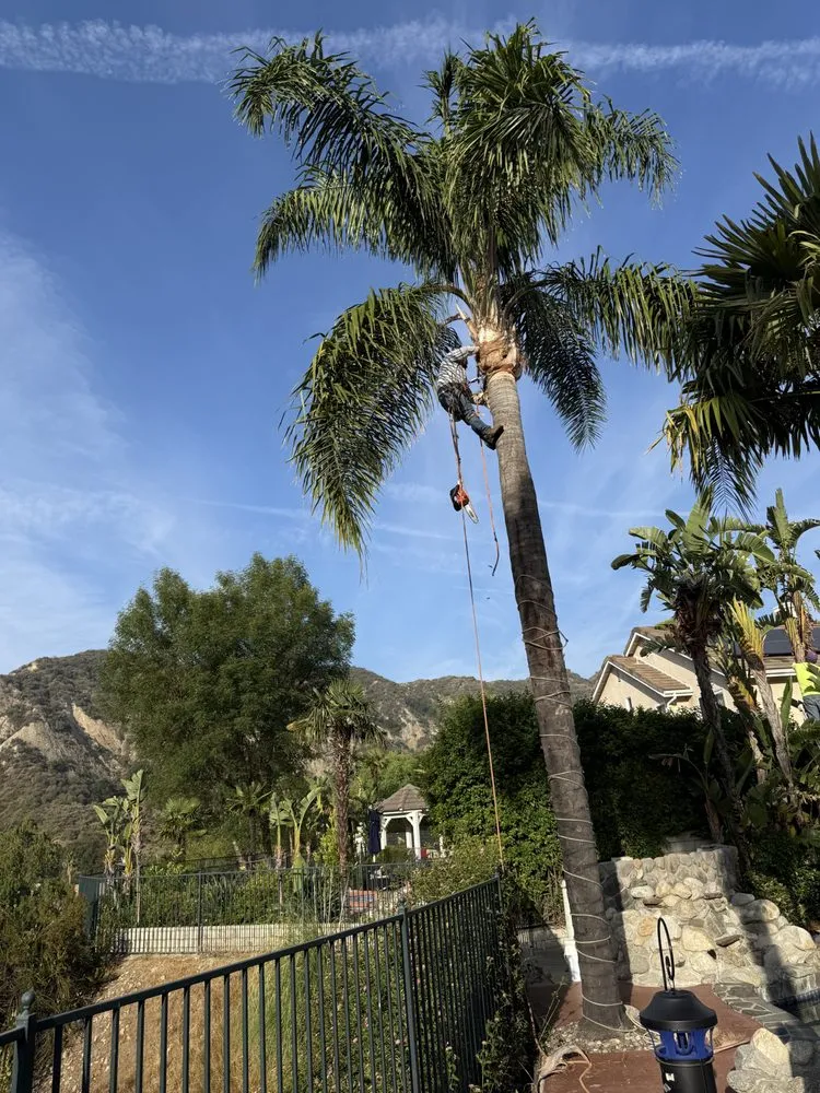 Local yard cleanup service experts serving Santa Clarita, CA - Jose And Ozzy Landscaping