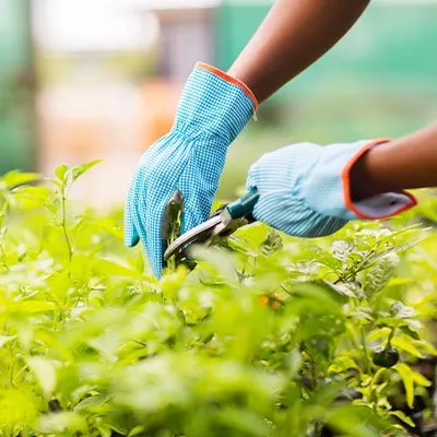 Top-rated yard maintenance in Oklahoma City, OK - Jose Angel Landscaping