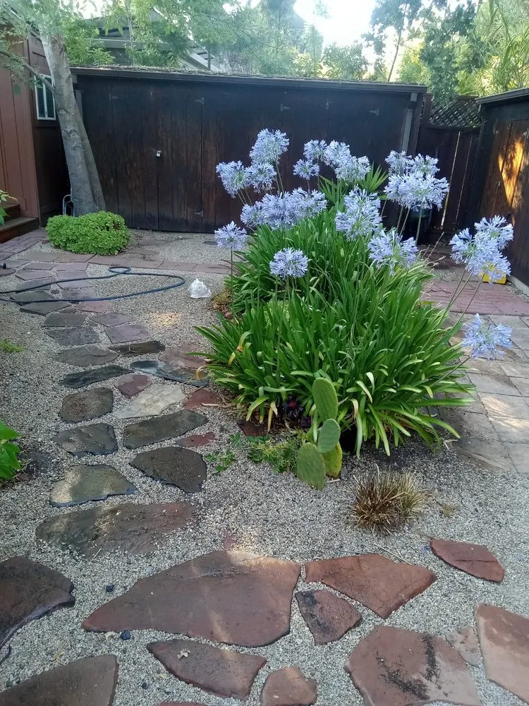 Custom garden landscaping in San Mateo, CA - Jose Avina Garden Service