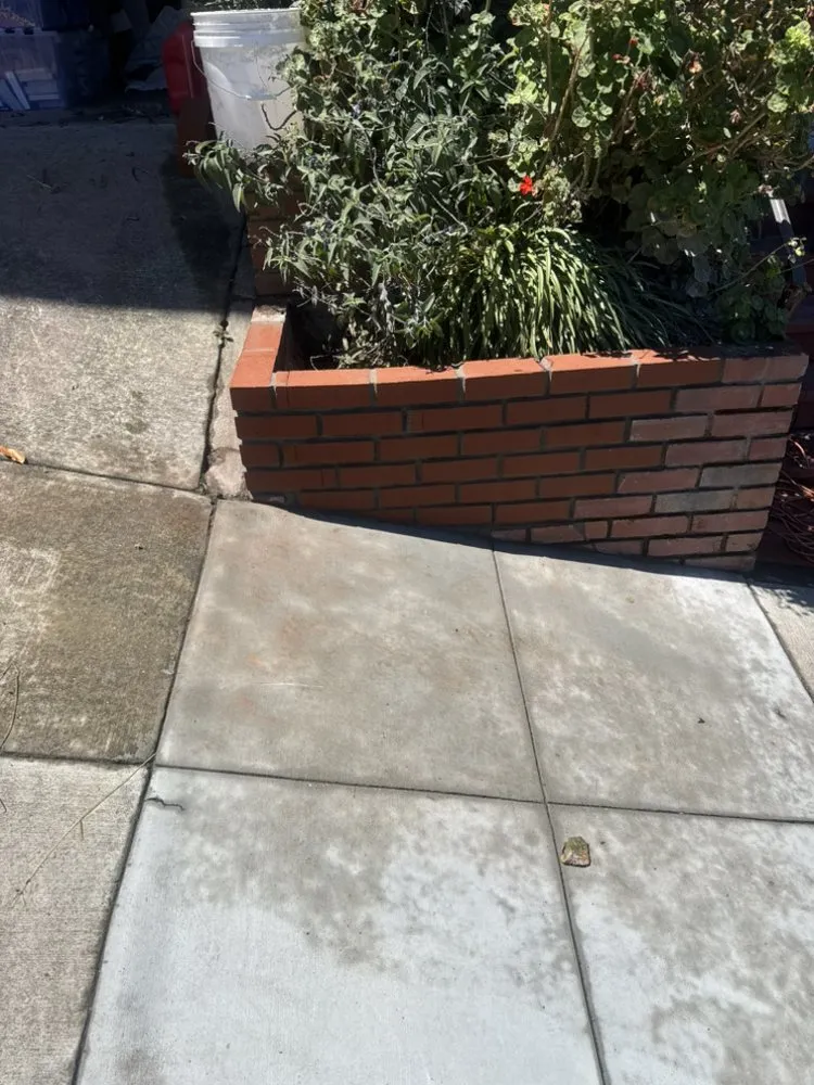 Expert lawn mowing service in San Mateo, CA by Jose Avina Garden Service