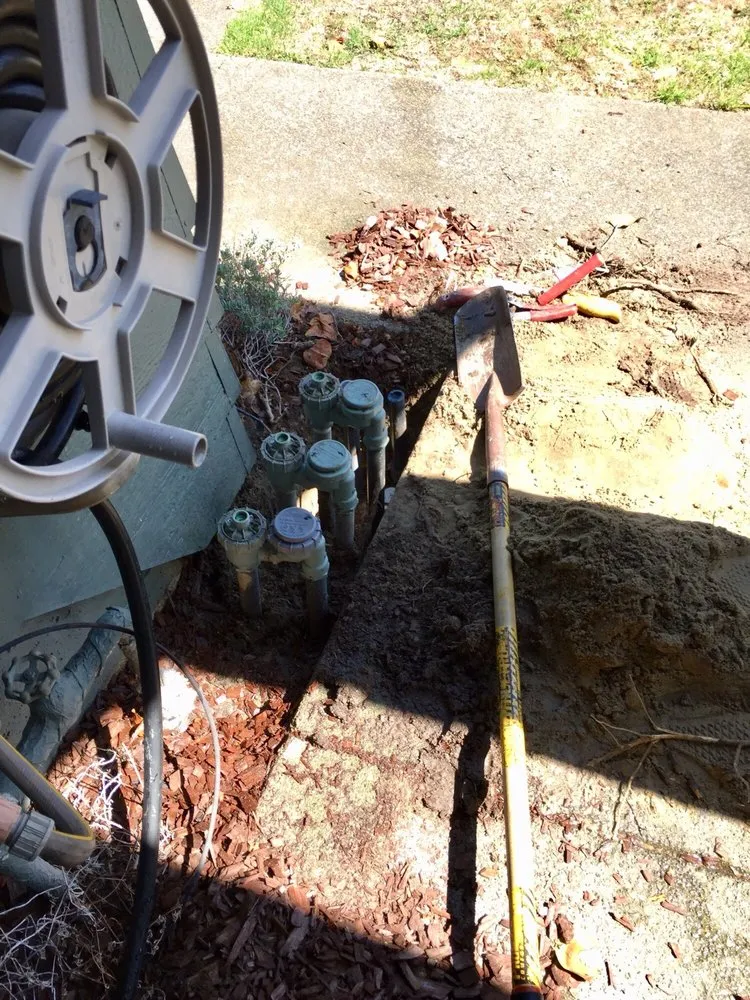 Affordable yard maintenance in Alameda, CA - Jose B Garay Landscaping