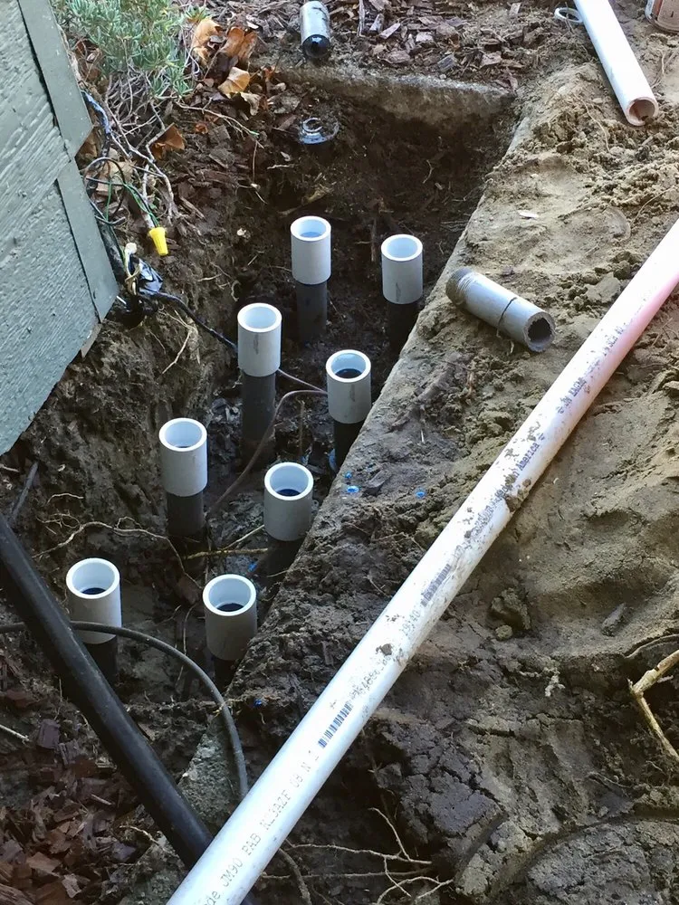 Custom yard maintenance experts serving Alameda, CA - Jose B Garay Landscaping