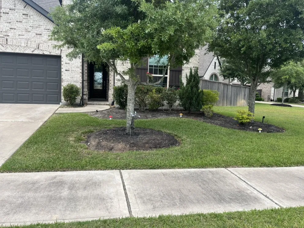 Affordable yard maintenance in The Woodlands, TX by Jose Bibiano Landscaping Maintenance