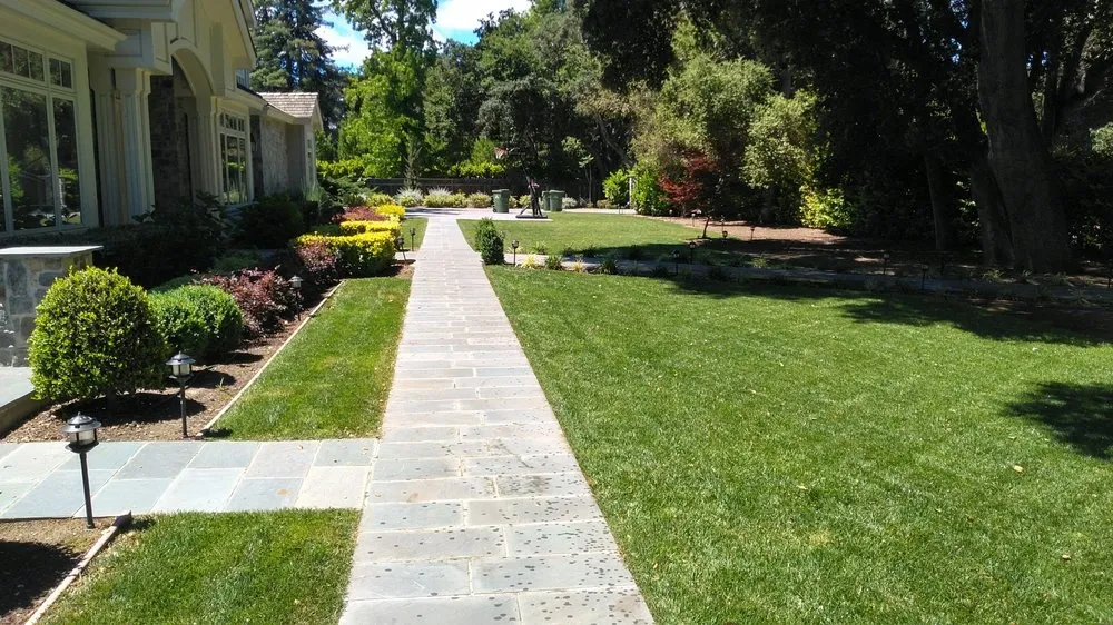 Custom lawn care service in Palo Alto, CA by Jose Cruz