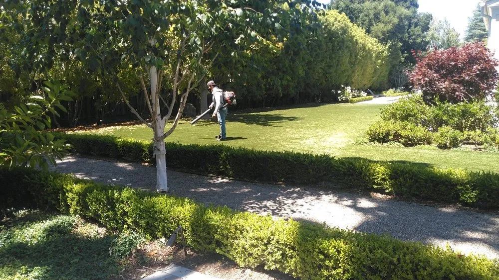 Local landscape design experts serving Palo Alto, CA - Jose Cruz