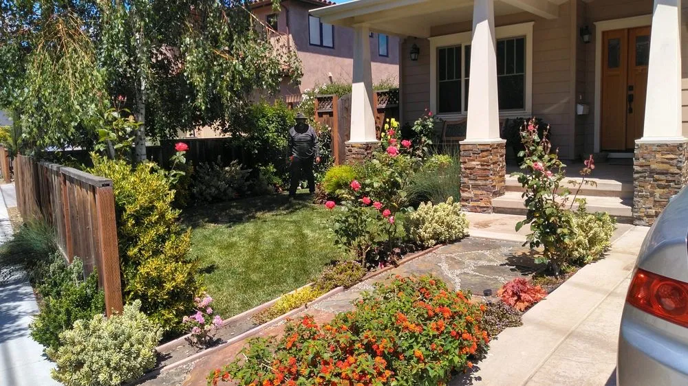 Reliable garden landscaping for beautiful yards in Palo Alto, CA by Jose Cruz