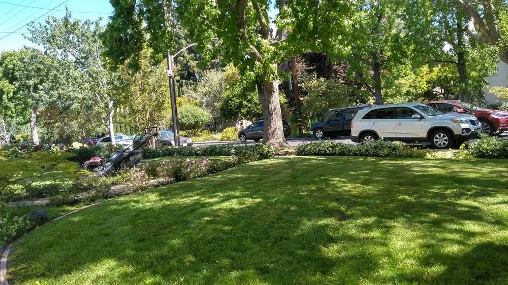 Expert yard maintenance in Palo Alto, CA - Jose Cruz