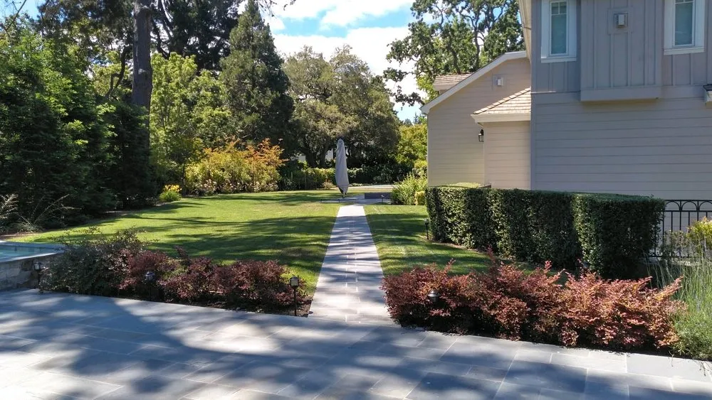 Local lawn care service experts serving Palo Alto, CA - Jose Cruz