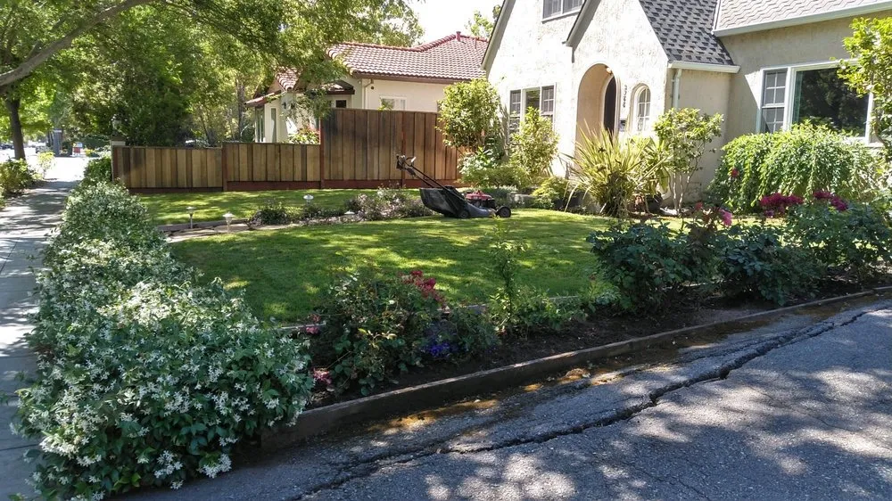 Expert outdoor landscaping in Palo Alto, CA - Jose Cruz