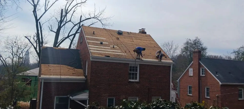 Affordable lawn care service in Alexandria, VA - Jose de la Cruz Landscaping