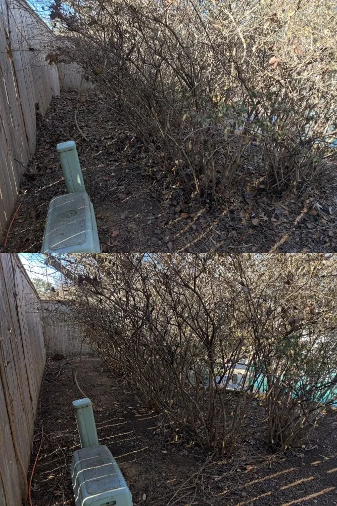 Affordable landscaping services with custom design in Corinth, TX by Jose Does Landscape & More