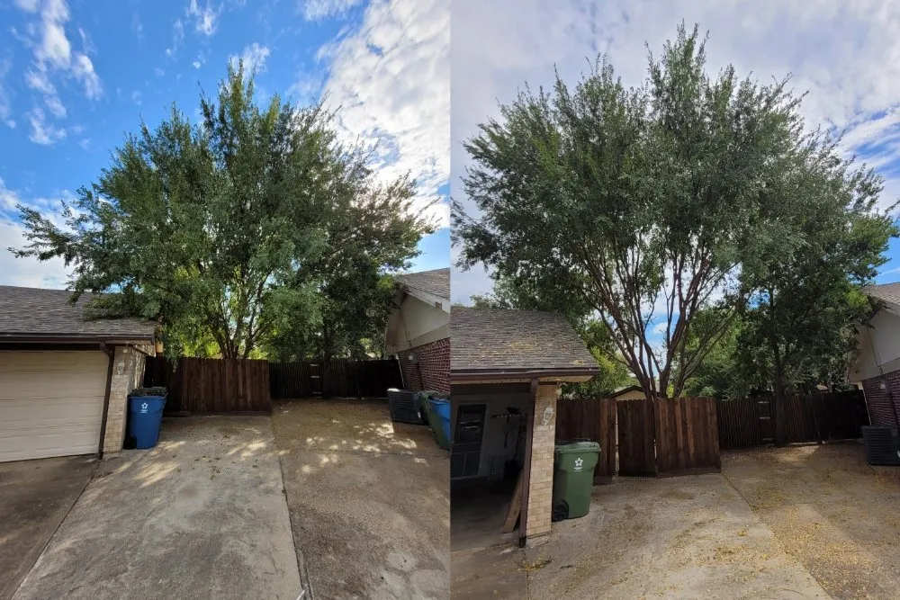 Custom landscaping services for homes in Corinth, TX by Jose Does Landscape & More