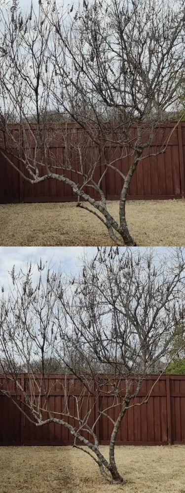 Top-rated lawn mowing service experts serving Corinth, TX - Jose Does Landscape & More