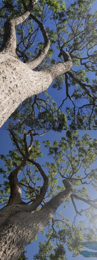 Top-rated landscape installation in Corinth, TX - Jose Does Landscape & More