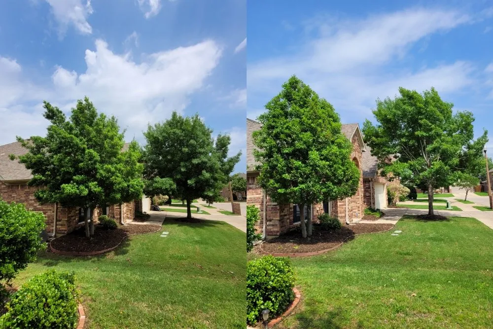 Professional residential landscaping for outdoor upgrades in Corinth, TX by Jose Does Landscape & More