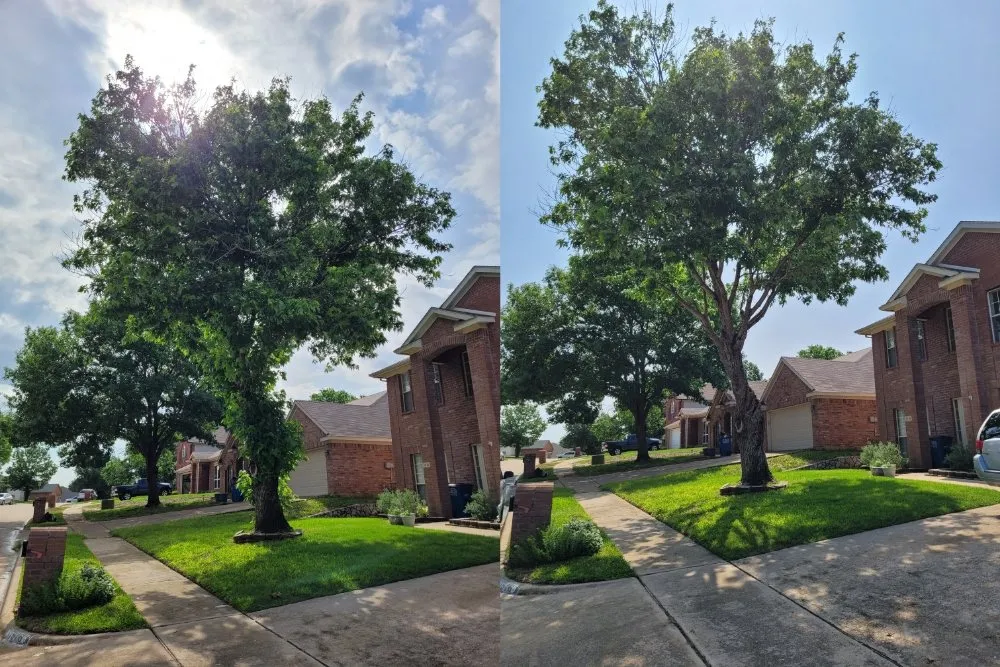 Top-rated garden landscaping for beautiful yards across Corinth, TX - Jose Does Landscape & More