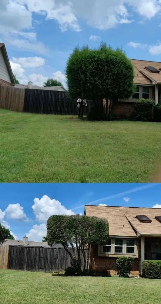 Custom garden landscaping experts serving Corinth, TX - Jose Does Landscape & More
