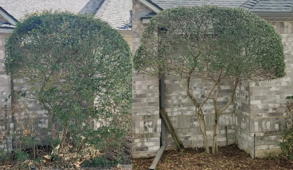 Professional residential landscaping for residential properties across Corinth, TX - Jose Does Landscape & More