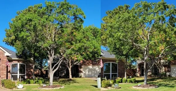 Jose Does Landscape & More