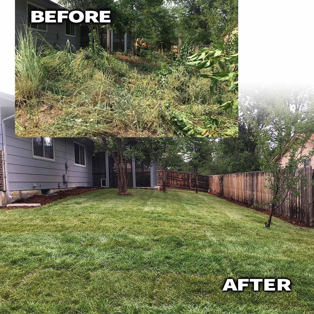 Top-rated landscape installation in Norcross, GA by Jose eagleview