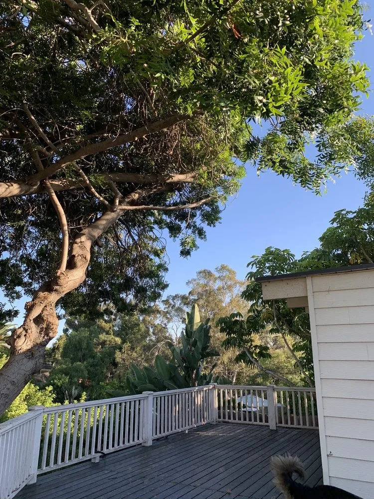 Reliable garden landscaping for residential properties across San Diego, CA - Jose Escalera Landscaping