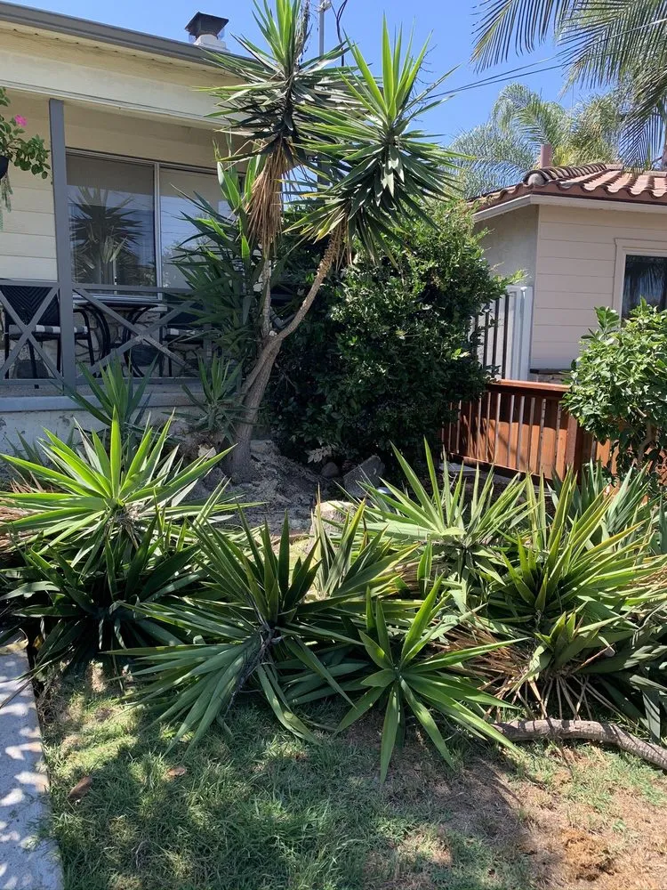 Custom outdoor landscaping for homes across San Diego, CA - Jose Escalera Landscaping