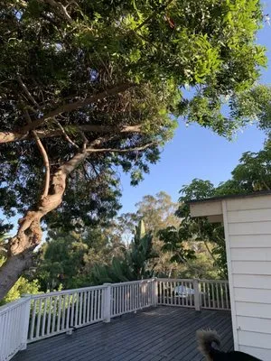 Jose Escalera Landscaping Logo