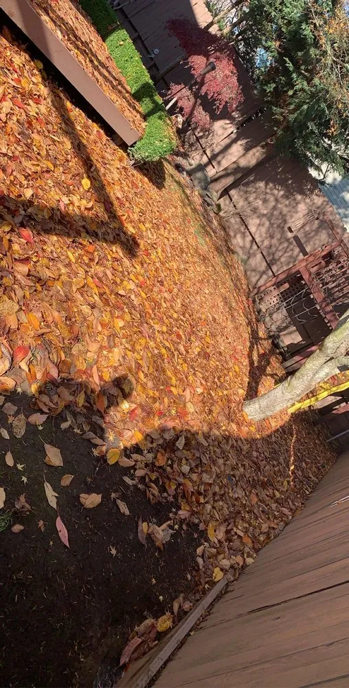 Top-rated residential landscaping experts serving Sherwood, OR - Jose G Avilas Landscape Maintenance