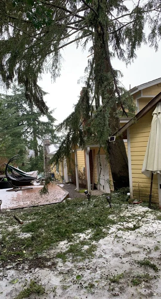 Professional landscape design in Sherwood, OR by Jose G Avilas Landscape Maintenance