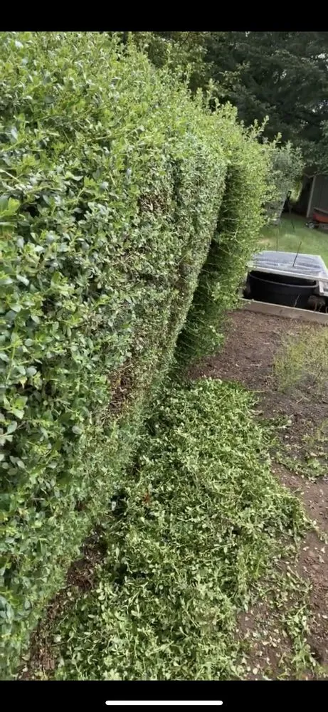 Local outdoor landscaping experts serving Sherwood, OR - Jose G Avilas Landscape Maintenance