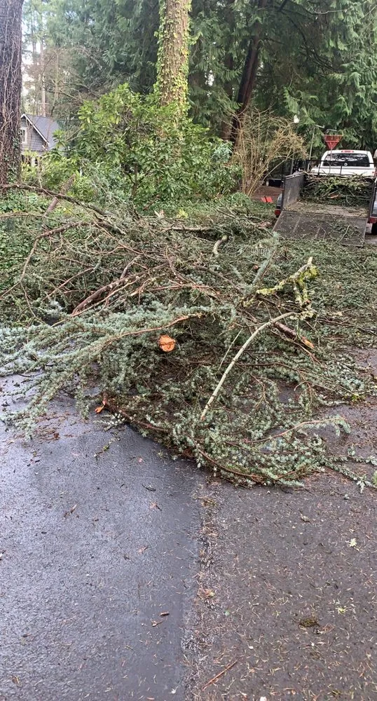 Custom lawn mowing service for year-round maintenance in Sherwood, OR by Jose G Avilas Landscape Maintenance