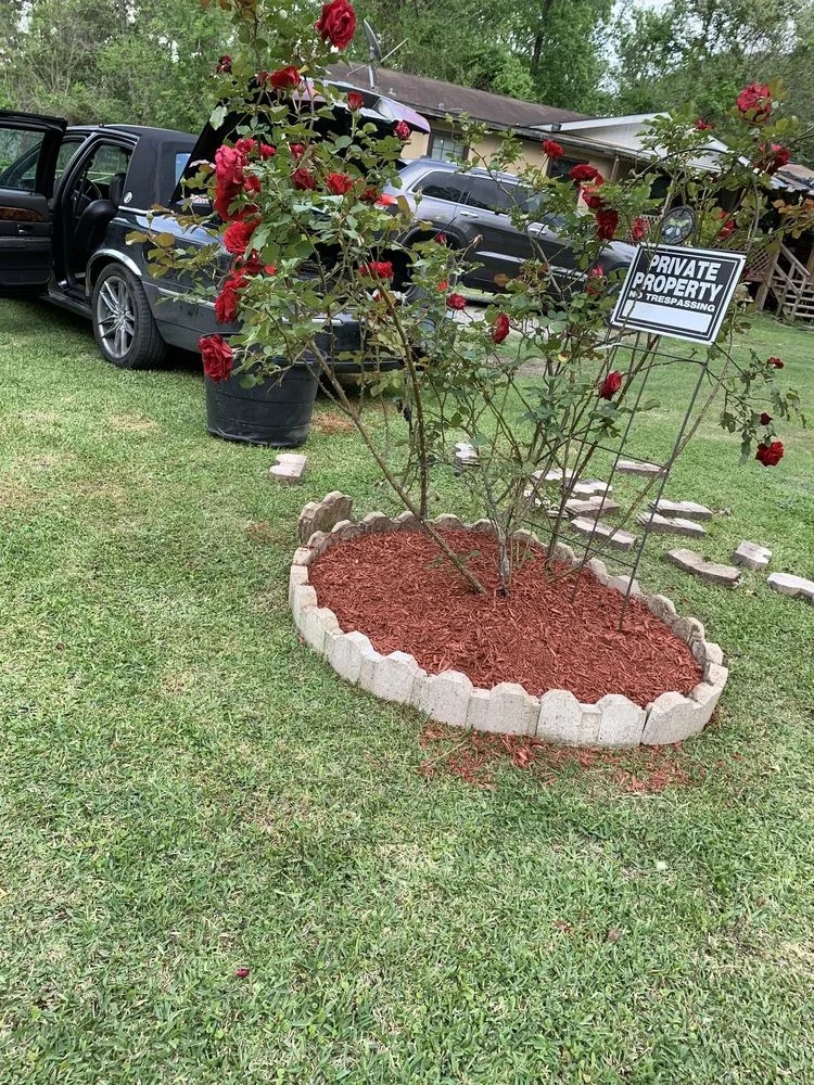 Trusted residential landscaping in Crosby, TX - Jose G Lawncare
