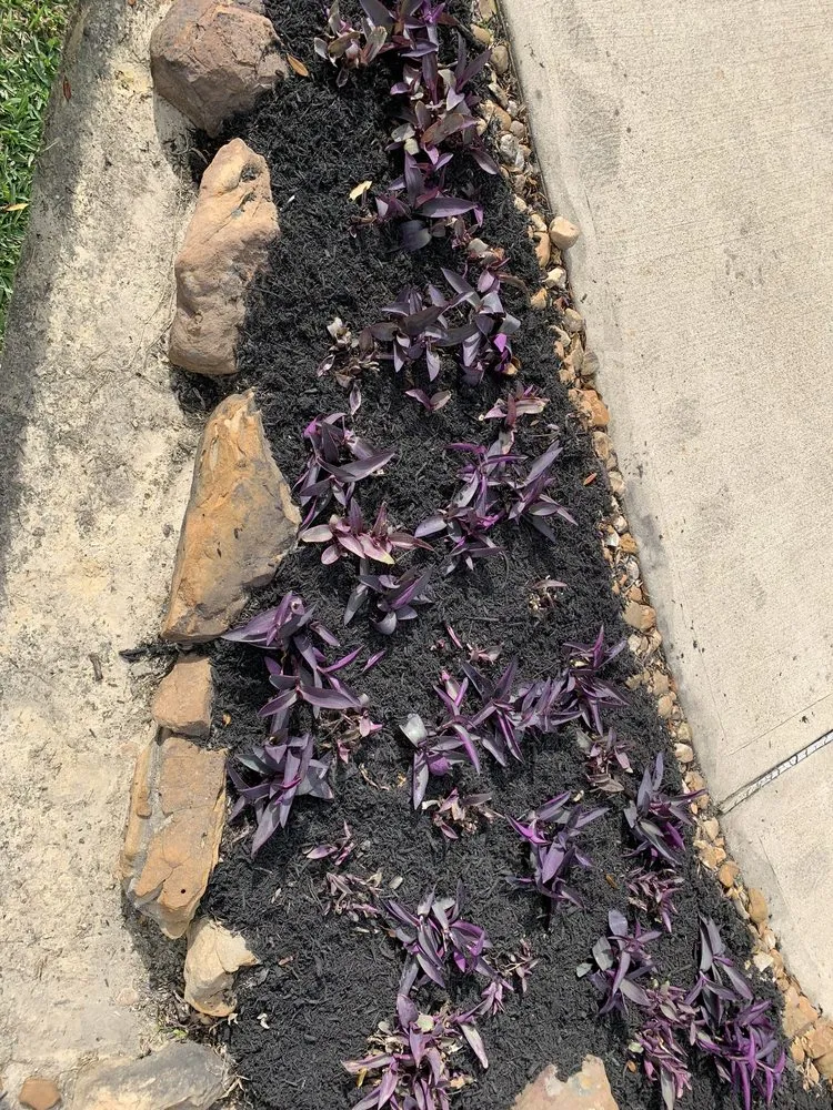 Trusted yard maintenance in Crosby, TX - Jose G Lawncare