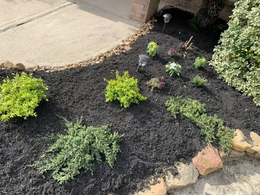 Jose G Lawncare Logo