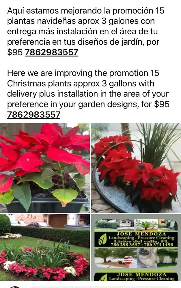 Professional yard maintenance experts serving Homestead, FL - Jose G Mendoza Moreno