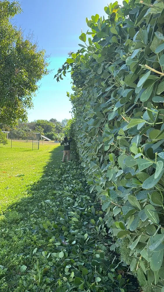 Expert yard maintenance in Homestead, FL - Jose G Mendoza Moreno