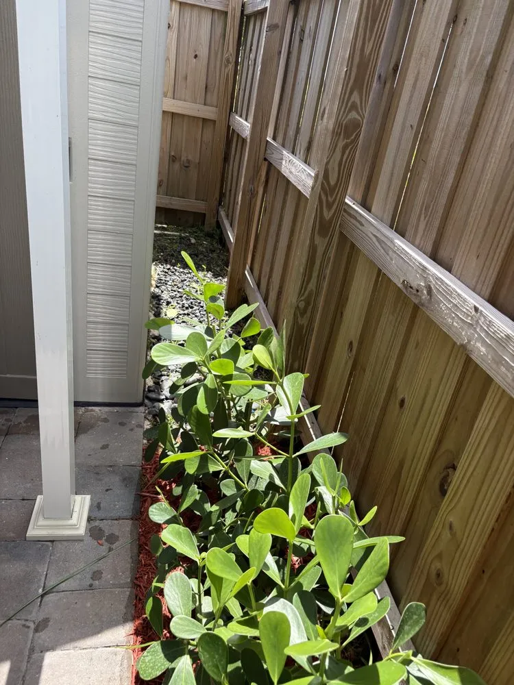 Top-rated landscaping services in Homestead, FL - Jose G Mendoza Moreno