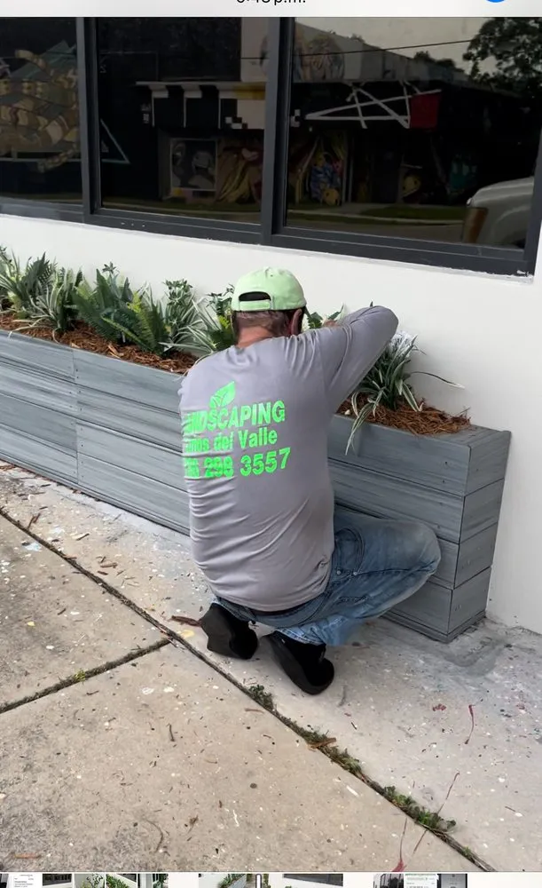 Top-rated landscape design experts serving Homestead, FL - Jose G Mendoza Moreno